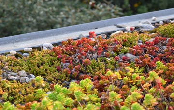 the cost of Priors Norton green roof installation