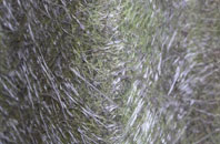 Priors Norton fibreglass roof work